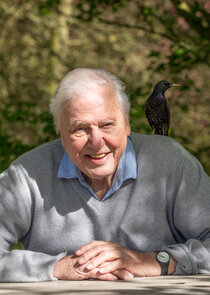 David Attenborough