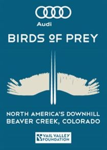 Audi Birds of Prey