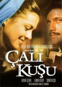 Çalıkuşu