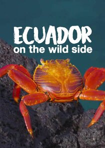 Ecuador: On the Wild Side