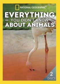 Everything You Didn't Know About Animals