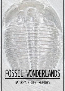 Fossil Wonderlands: Nature's Hidden Treasures