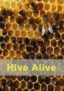 Hive Alive