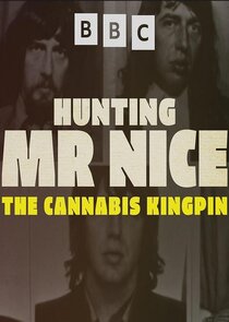 Hunting Mr Nice: The Cannabis Kingpin