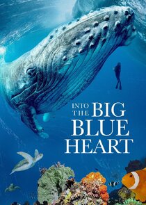 Into the Big Blue Heart