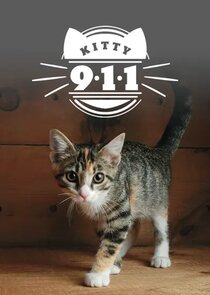 Kitty 911