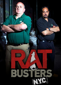 Rat Busters NYC