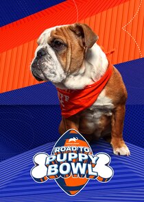 Road to Puppy Bowl