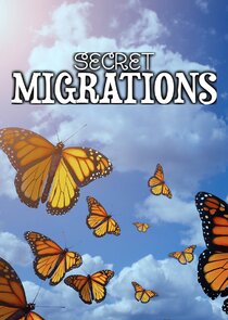 Secret Migrations