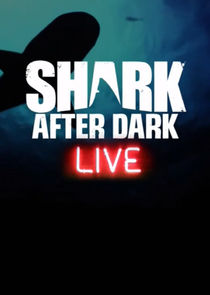 Shark After Dark