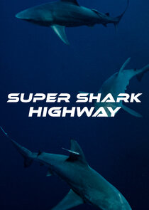 Super Shark Highway