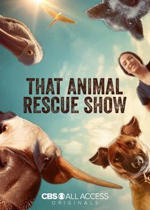 That Animal Rescue Show