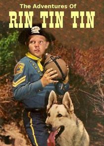 The Adventures of Rin Tin Tin