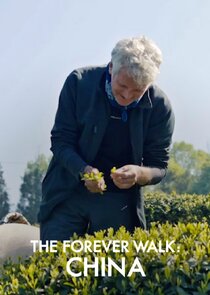 The Forever Walk: China