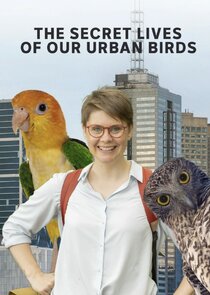 The Secret Lives of Our Urban Birds