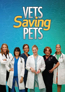 Vets Saving Pets