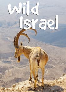 Wild Israel